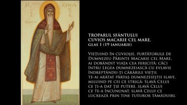 TROPARUL SFÂNTULUI CUVIOS MACARIE CEL MARE