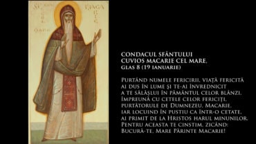 CONDACUL SFÂNTULUI CUVIOS MACARIE CEL MARE