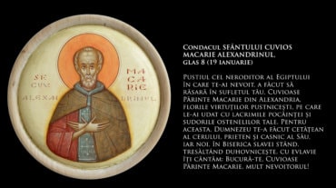 CONDACUL SFÂNTULUI CUVIOS MACARIE ALEXANDRINUL