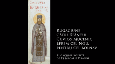 Rugăciune către Sfântul Cuvios Mucenic Efrem cel Nou, pentru cel bolnav
