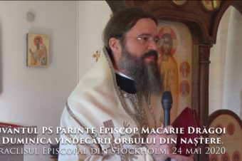 Cuvântul PS Părinte Episcop Macarie Drăgoi în Duminica vindecării orbului din naștere, Paraclisul Episcopal din Stockholm, 24 mai 2020